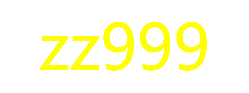 zz999